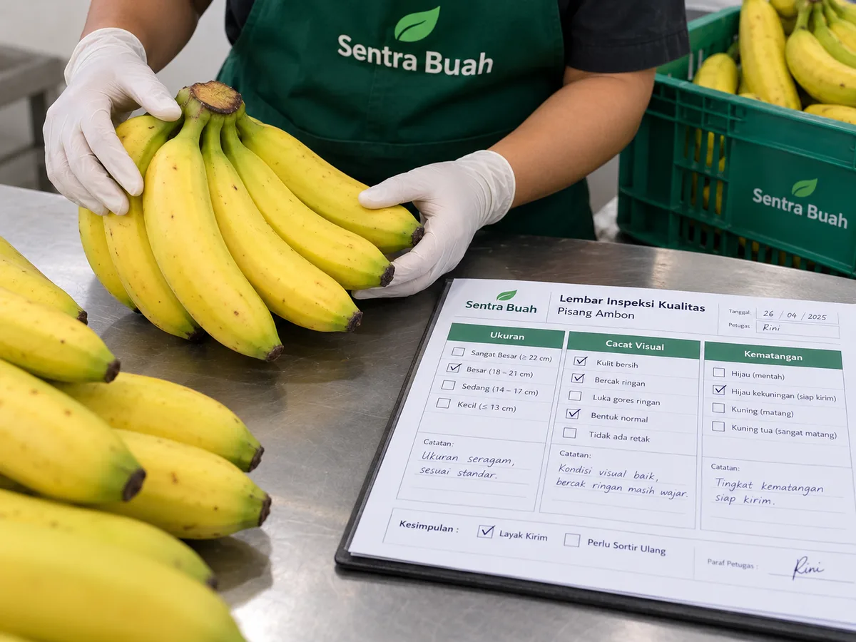 Personel Sentra Buah menginspeksi pisang