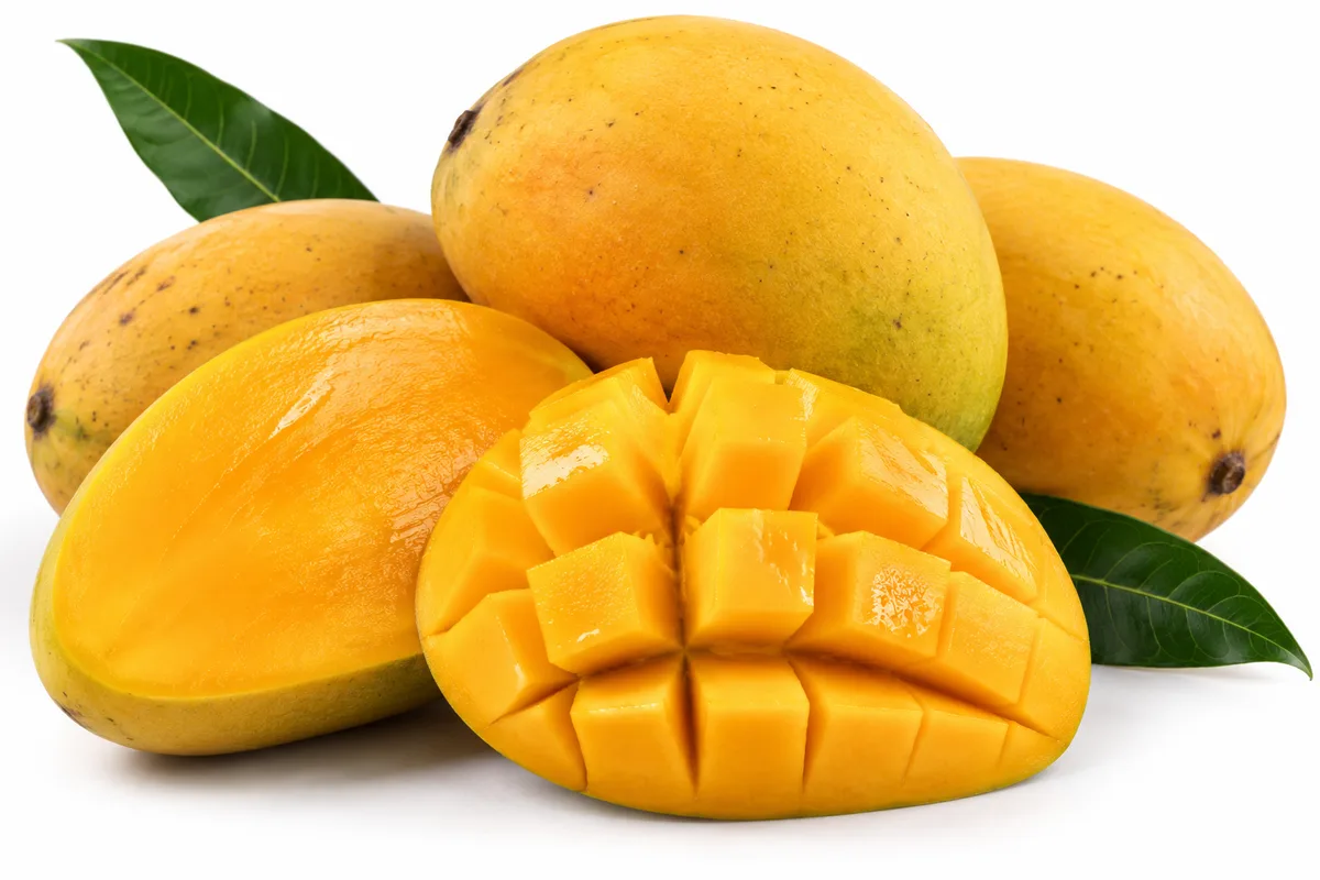 Mangga