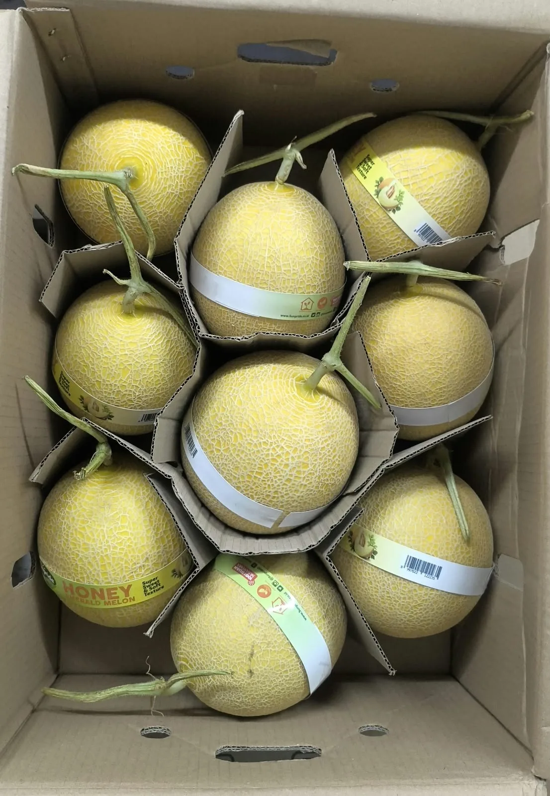 Honey emerald melon