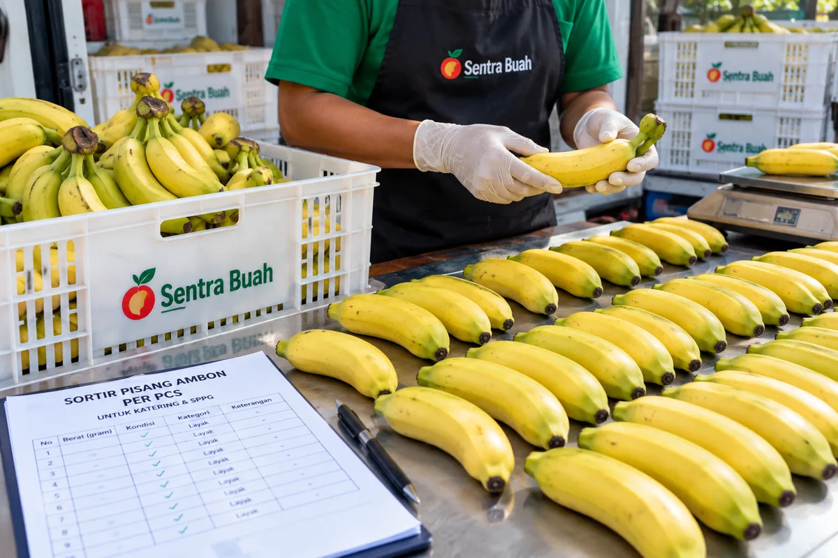 Pisang Ambon hasil sortir per PCS untuk kebutuhan katering dan SPPG.