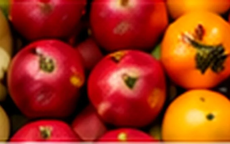 Buah Impor untuk kebutuhan bisnis