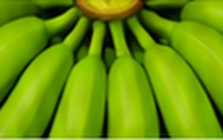 Pisang untuk kebutuhan bisnis