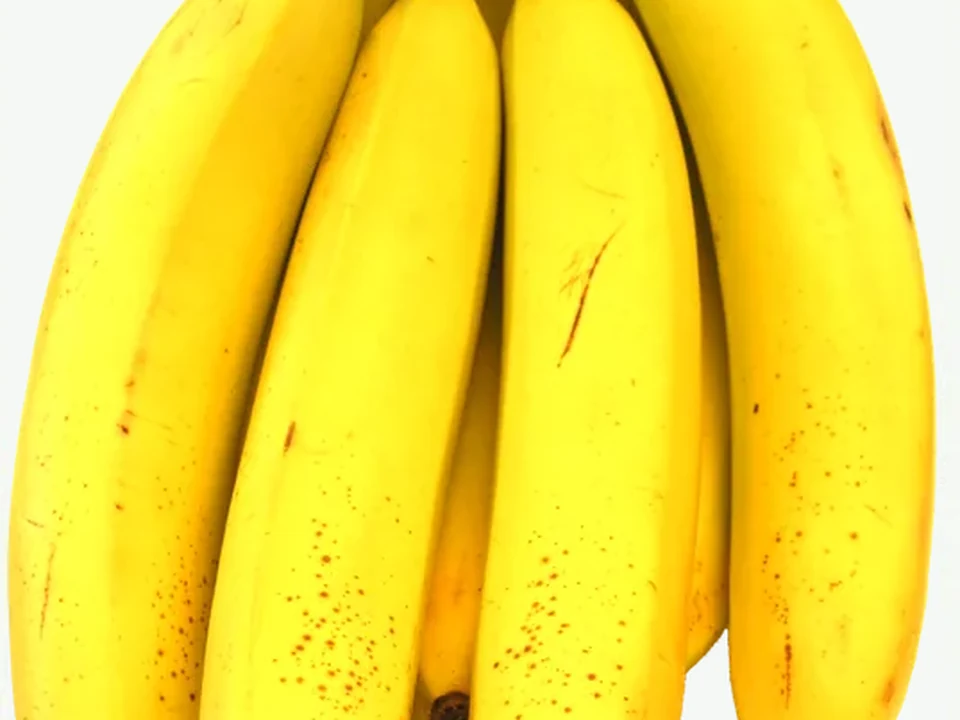 Ilustrasi Pisang Sunpride